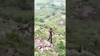 Gadarya ko bhed charave viralvideo mewatigaana yutubeshorts mewaticomedyvideo [upl. by Gittel940]