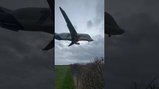 Airbus Beluga XL2 Arriving at Hawarden Airport AIRBUS AIRBUSBELUGA BELUGAXL PLANESPOTTING [upl. by Hgielra]