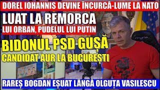 Jocul bizar al lui Iohannis la NATO Putin profită Rusofilul Cozmin Gușă candidat AUR la București [upl. by Thynne497]