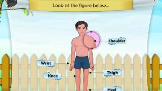 Learn Grade 1  Science  The Parts Of The Body and Their Functions [upl. by Ambrosi]