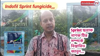 Indofil Sprint fungicide  MancozebCarbendazim  দারুন একটি ছত্রাক নাশক [upl. by Anikas465]