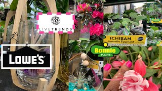 Lowe’s Houseplant Finds  Fuschia Ajuga Leucothoe Polemonium PomPom Evergreens and more🪴 [upl. by See]