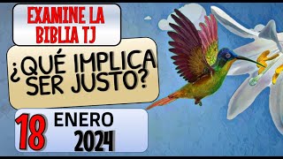 🔵 ¿CÓMO SERÁN LAS COSAS EN EL NUEVO MUNDO ✅ EXAMINE LA BIBLIA TJ [upl. by Mayer]