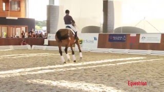 Rudolf Zeilinger and Lone Jorgensen Riding at the Credit Suisse Boneo Park Equestrian Festival [upl. by Kcirnek]