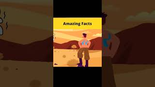 amazingfacts mythbusters factbeast [upl. by Denie]