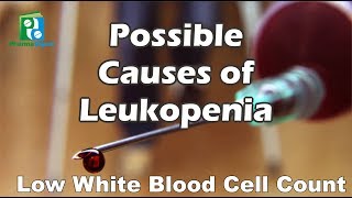 Possible Causes of Leukopenia [upl. by Savil]