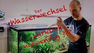 Wasserwechsel im Aquarium  Profi Tipp [upl. by Zorina844]