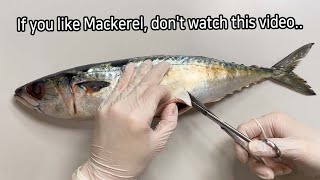 Shocking Parasites Discovered During Mackerel Dissection [upl. by Nylsoj793]