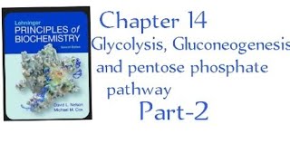 Glycolysis Gluconeogenesis and pentose phosphate pathway Chapter 14  part2 in Urdu [upl. by Coughlin]