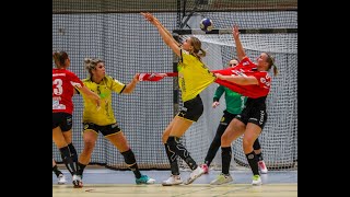 Damen Handball Bundesliga Bor Dortmund  HSG Blomberg Lippe 180120 [upl. by Edahc]