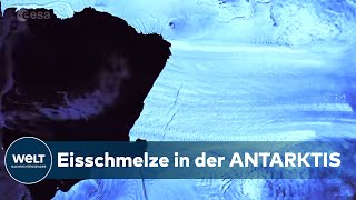 ANTARKTIS Temperaturen um 20 Grad lässt riesigen Gletscher brechen [upl. by Maximilien]