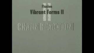 Fluxion  Vibrant Forms 2 Chain Reaction  03 Oblique CD1 [upl. by Millian]