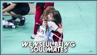 WENSEUL BEING SOULMATES [upl. by Melita]