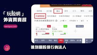 外資買賣超｜玩股網小功能 [upl. by Franzoni]