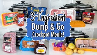 6 Cheap amp EASY Dump and Go Crockpot Meals  TASTY 3Ingredient Slow Cooker Recipes  Julia Pacheco [upl. by Mount715]