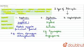 Zygote of an organism developed after syngamy undergoes meiosis to form haploid spores which di [upl. by Lenahs]