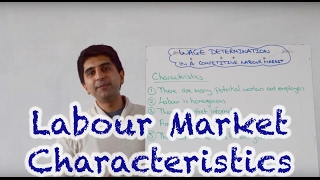 Characteristics of a Perfectly Competitive Labour Market [upl. by Eatnahc]