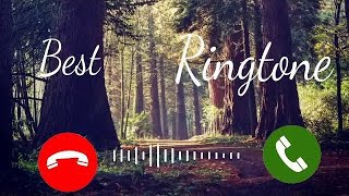 New Ringtone 2021 Flute Ringtone  Love Ringtone Basuri Ringtone Hindi Ringtone Mobile Ringtone [upl. by Adamsun]