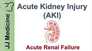 Acute Kidney Injury AKI  Acute Renal Failure  Diagnosis Causes and Treatment [upl. by Bleier]