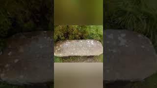 Gold panning amp walks round Tyndrum Scotland [upl. by Atilol]