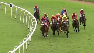 EMERALD QUEEN with D S Deora up wins The Prince Regent Plate Div1 2024 [upl. by Iarahs]