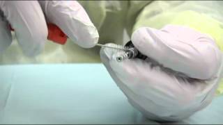 PENTAX®  Stubby Brush cleaning a PENTAX endoscope valve set [upl. by Aleekahs]