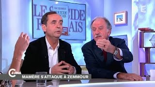 Ménard et Mamère sur Zemmour  C à vous  25112014 [upl. by Otrevlig806]