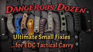 Dangerous Dozen Fixed Blades A Bakers Dozen EDC Tactical Pocket or Belt Carry Beauties [upl. by Monda]