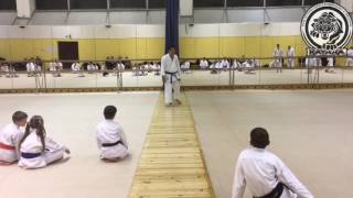 RTKF Masao Kawasoe 2016 JKA Moscow seminar [upl. by Zigrang252]