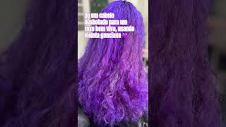 Cabelo roxo bem vivo com violeta genciana Logo teremos passo a passo no canal💜cabeloroxo [upl. by Gant]