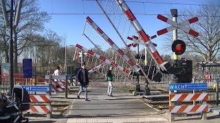 Spoorwegovergang Waddinxveen  Dutch railroad crossing [upl. by Eleazar]