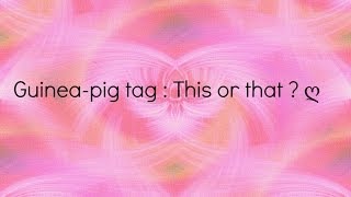 Guineapig tag  this or that  ღ [upl. by Idas]