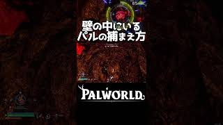 バグを使った壁抜けパル捕獲【Palworld  パルワールド】shorts [upl. by Oiluarb567]