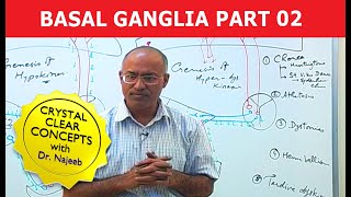 Basal Ganglia  Neuroanatomy  Part 23 [upl. by Agna]