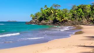 Olas del Paraíso  Playa Hermosa con Sonidos Relajantes del Mar sin Música [upl. by Divadnhoj577]