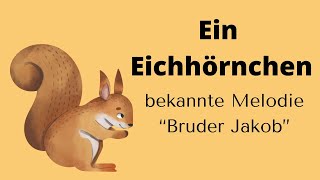 EIN EICHHÖRNCHEN  für Erzieher amp Pädagogen sprachförderung eichhörnchen emp mfe [upl. by Kobe642]