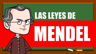 LAS LEYES DE MENDEL 🌿🌿🌿 EXPLICACIÓN Fácil y Rápido [upl. by Fraya610]