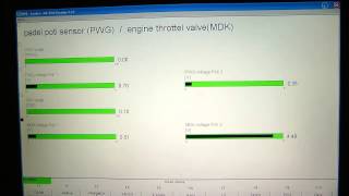 Inpa BMW 530i E39 All Functions Explained [upl. by Blader]