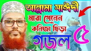 আল্লামা সাঈদী হুজুরের মৃত্যু নাকি হত্যা নাস্তিক হাসিনার কঠিন জবাব  delyar saidi [upl. by Aynod]