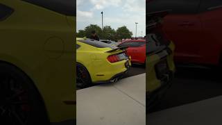 SHELBY GT500 KOOKS CATLESS HEADERS AND LETHAL X PIPE EXHAUST SOUND ShelbyGT500 Mustang Ford [upl. by Wrennie]