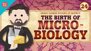 MicroBiology Crash Course History of Science 24 [upl. by Shaer525]