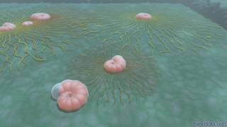 Benthic foraminifera simulation 1500x faster than realtime [upl. by Earlene141]