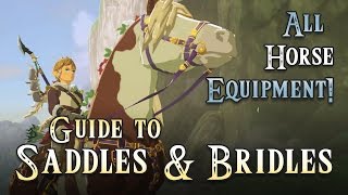 Guide Horse Saddles amp Bridles Equipment Legend of Zelda Breath of the Wild Royal Stallion [upl. by Airemaj]