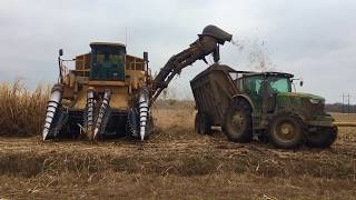 BLANCHARD BROTHERS FARMS INC SUGARCANE HARVESTING 2019 FRANKLIN LOUISIANA [upl. by Carper]