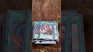 YUGIOH FRIGHTFUR FLUFFAL DECK PROFILE AUGUST 2024 yugioh yugiohtcg fluffal deckprofile pokemon [upl. by Sacram]