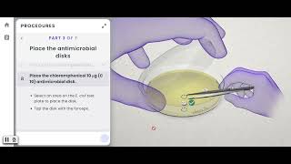 Pearson Interactive Labs  Antimicrobial Susceptibility Testing [upl. by Tatiana]