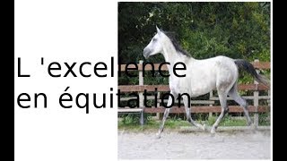 Lexcellence en équitation cest quoi [upl. by Julita]