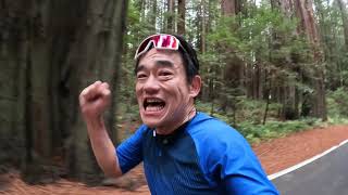 2023 Humboldt Redwoods Marathon half [upl. by Kirby]