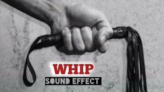 whip  sound effect loud whip sound [upl. by Elmore]