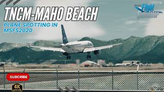 Authentic Plane Spotting Adventure at SXM  MSFS2020 [upl. by Drue910]